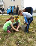 Озеленение в Шкотово — В рамках программы благоустройства городов и поселков края в пгт. Шкотово прошла акция «Посади дерево»
